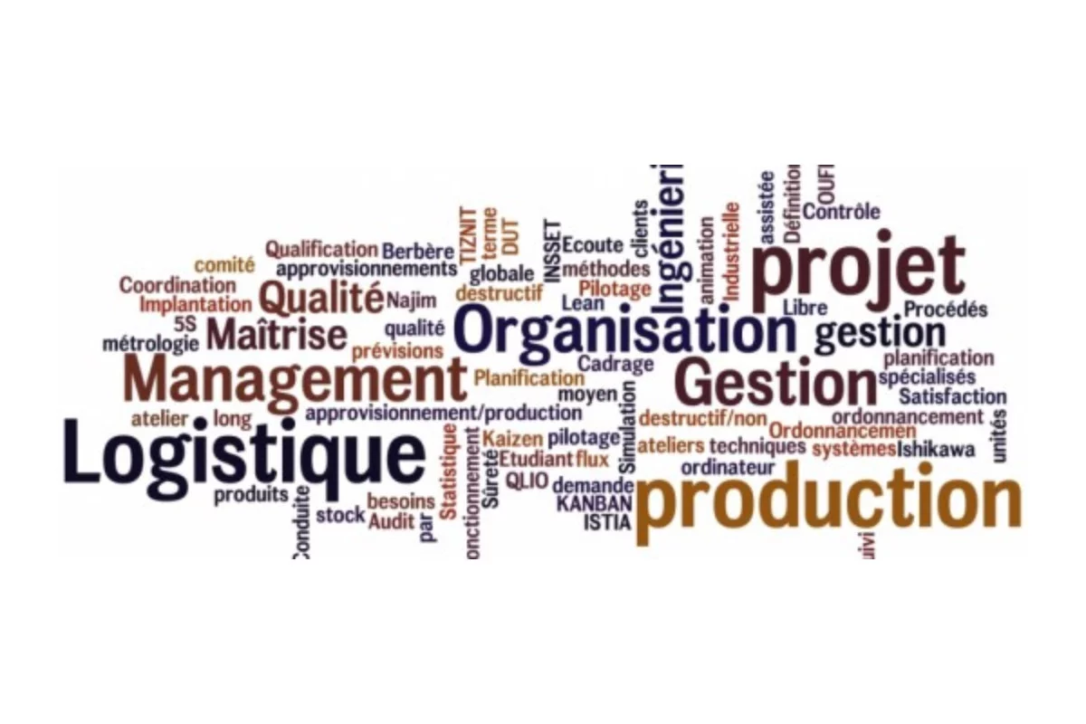 Les effets de mode en management